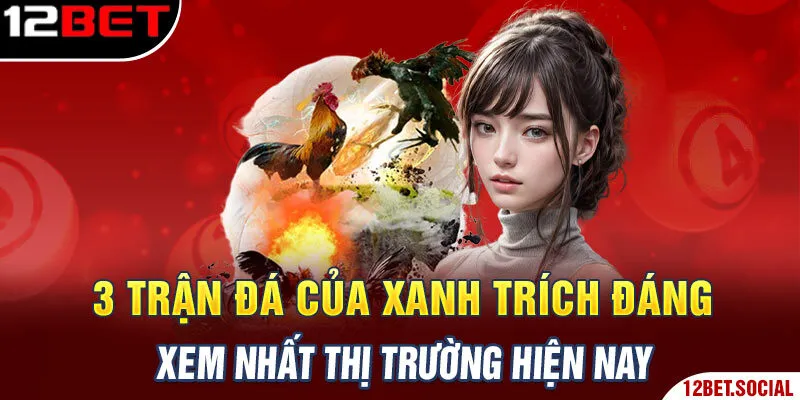 3 Trận Đá Của Xanh Trích Đáng Xem Nhất Thị Trường Hiện Nay