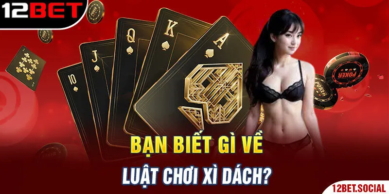 Bạn biết gì về luật chơi Xì dách? Bạn biết gì về luật chơi Xì dách?