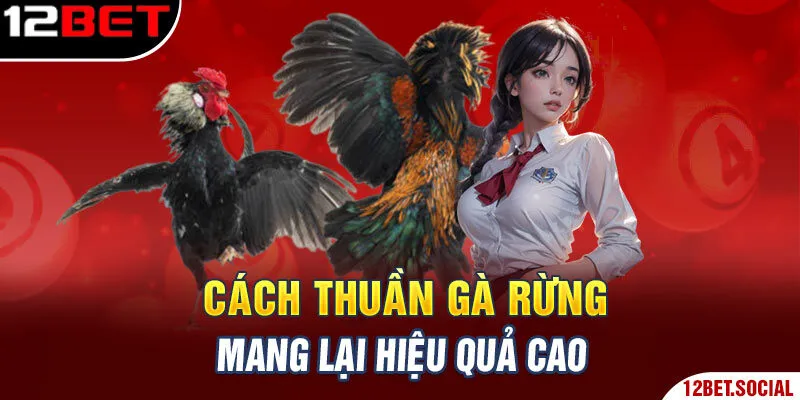 Cách thuần gà rừng mang lại hiệu quả cao Cách thuần gà rừng mang lại hiệu quả cao