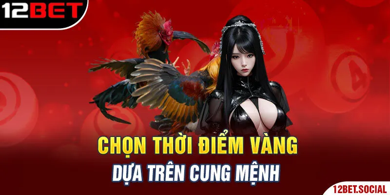 Coi Ngày Đá Gà – Bí Kíp Chọn Ngày Chuẩn Như Sư Kê Kỳ Cựu 1 Chọn thời điểm vàng dựa trên cung mệnh
