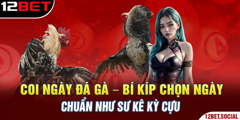 Coi Ngày Đá Gà – Bí Kíp Chọn Ngày Chuẩn Như Sư Kê Kỳ Cựu