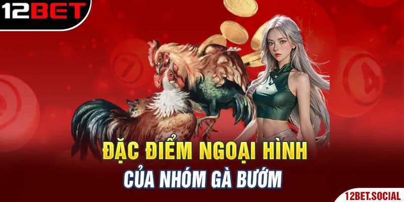 Đặc điểm ngoại hình của nhóm gà bướm Đặc điểm ngoại hình của nhóm gà bướm