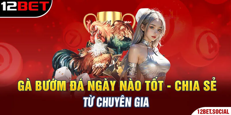 Gà bướm đá ngày nào tốt - Chia sẻ từ chuyên gia Gà bướm đá ngày nào tốt - Chia sẻ từ chuyên gia