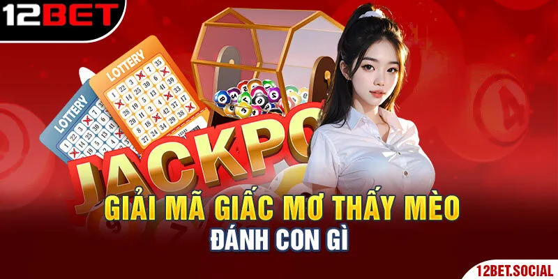 Giải mã giấc mơ thấy mèo đánh con gì Giải mã giấc mơ thấy mèo đánh con gì