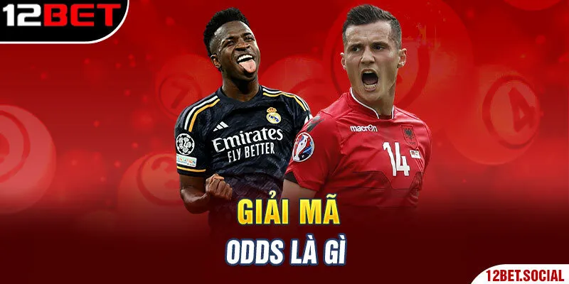 Giải mã odds là gì Giải mã odds là gì