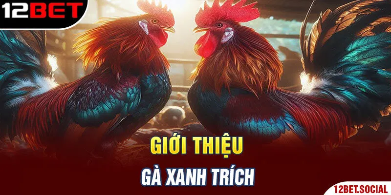 Giới thiệu gà xanh trích Giới thiệu gà xanh trích