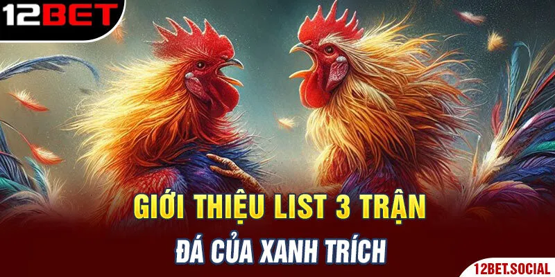 Giới thiệu list 3 trận đá của xanh trích Giới thiệu list 3 trận đá của xanh trích
