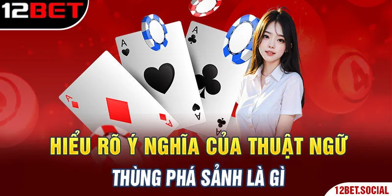 Hiểu rõ ý nghĩa của thuật ngữ thùng phá sảnh là gì Hiểu rõ ý nghĩa của thuật ngữ thùng phá sảnh là gì