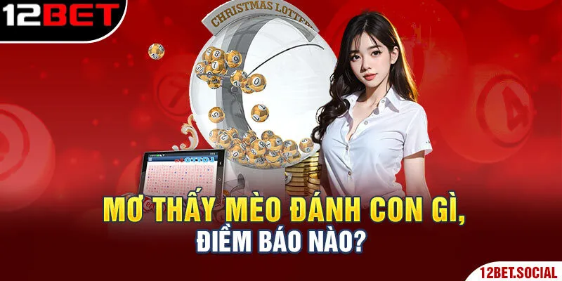 Mơ thấy mèo đánh con gì, điềm báo nào? Mơ thấy mèo đánh con gì, điềm báo nào?