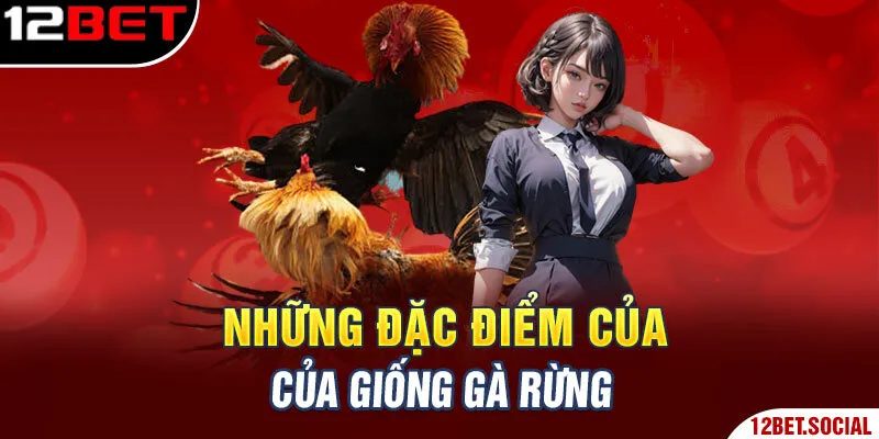 Những đặc điểm của giống gà rừng Những đặc điểm của giống gà rừng
