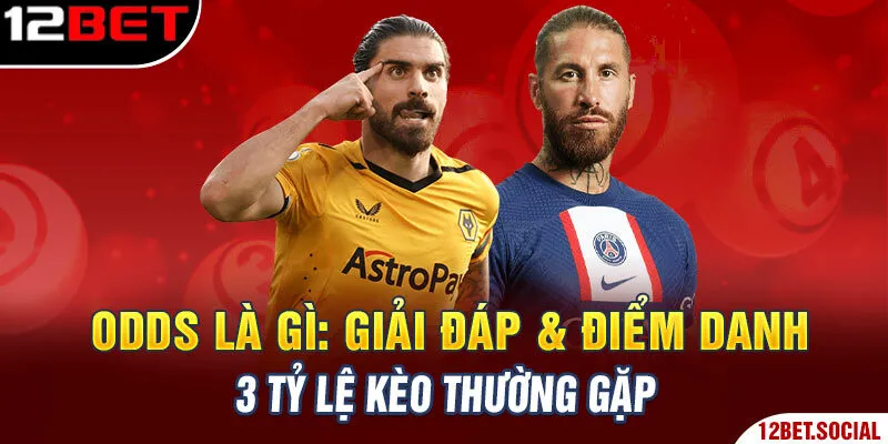 Odds Là Gì: Giải Đáp & Điểm Danh 3 Tỷ Lệ Kèo Thường Gặp