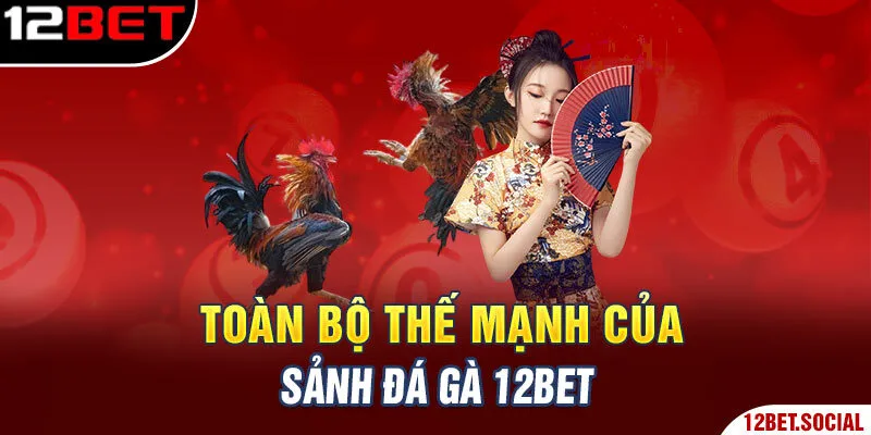 Toàn bộ thế mạnh của sảnh đá gà 12BET Toàn bộ thế mạnh của sảnh đá gà 12BET