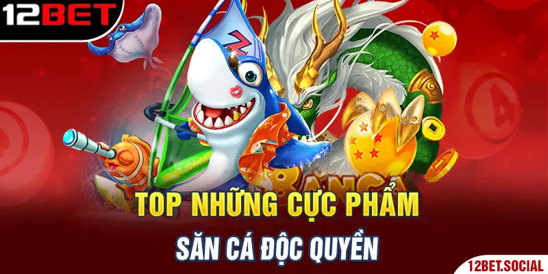 Top những cực phẩm săn cá độc quyền Top những cực phẩm săn cá độc quyền