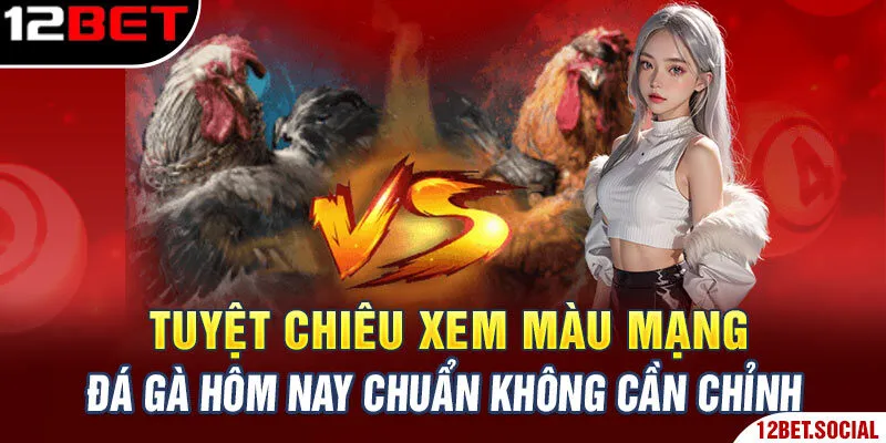 Tuyệt Chiêu Xem Màu Mạng Đá Gà Hôm Nay Chuẩn Không Cần Chỉnh