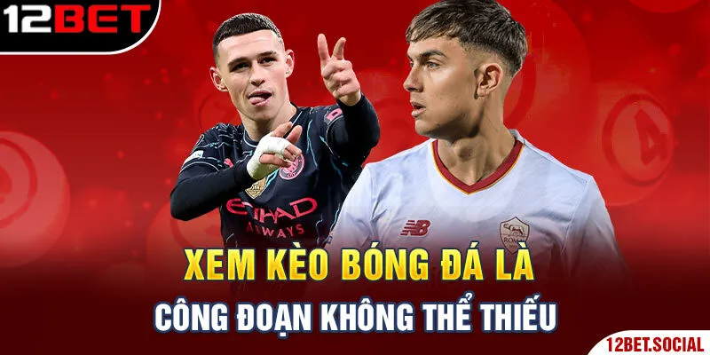 Xem kèo bóng đá là công đoạn không thể thiếu Xem kèo bóng đá là công đoạn không thể thiếu